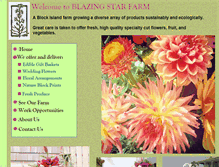 Tablet Screenshot of blazingstarfarm.com